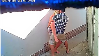 Recentemente Flagrado: Escapada Ao Ar Livre De Casal Filmada Por Cctv