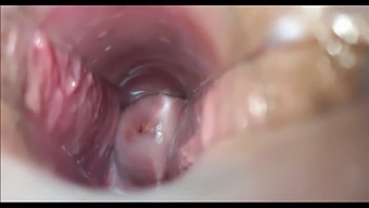 A Woman Reaches Orgasm Through Vaginal Penetration.